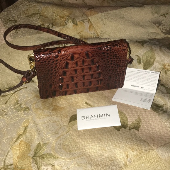 Brahmin - Picture 5 of 5
